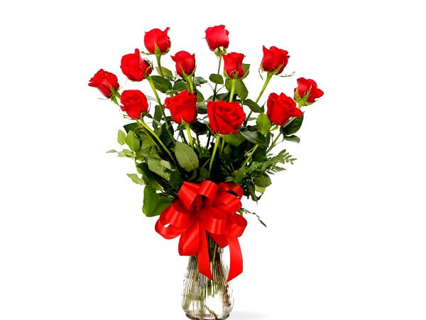 Friendship Day Flowers- Friendship Flowers, Friendship Flower Meaning