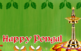 Pongal is the harvest festival of India, celebrated mainly in Tamil ...